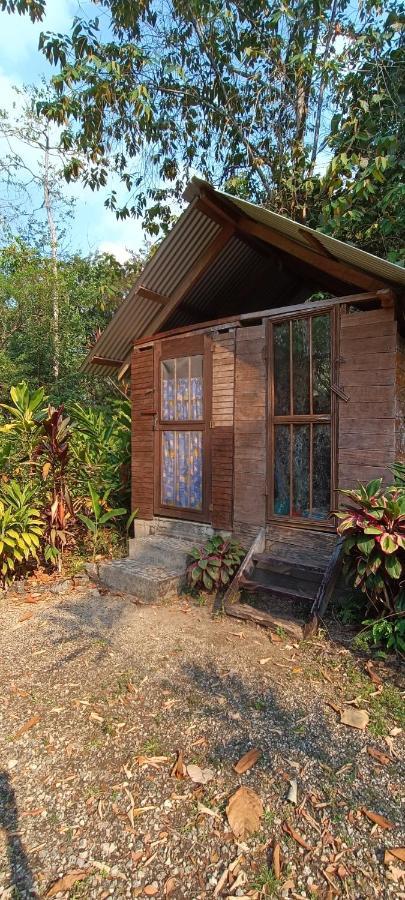 Sun Creek Lodge Пунта Горда Екстериор снимка