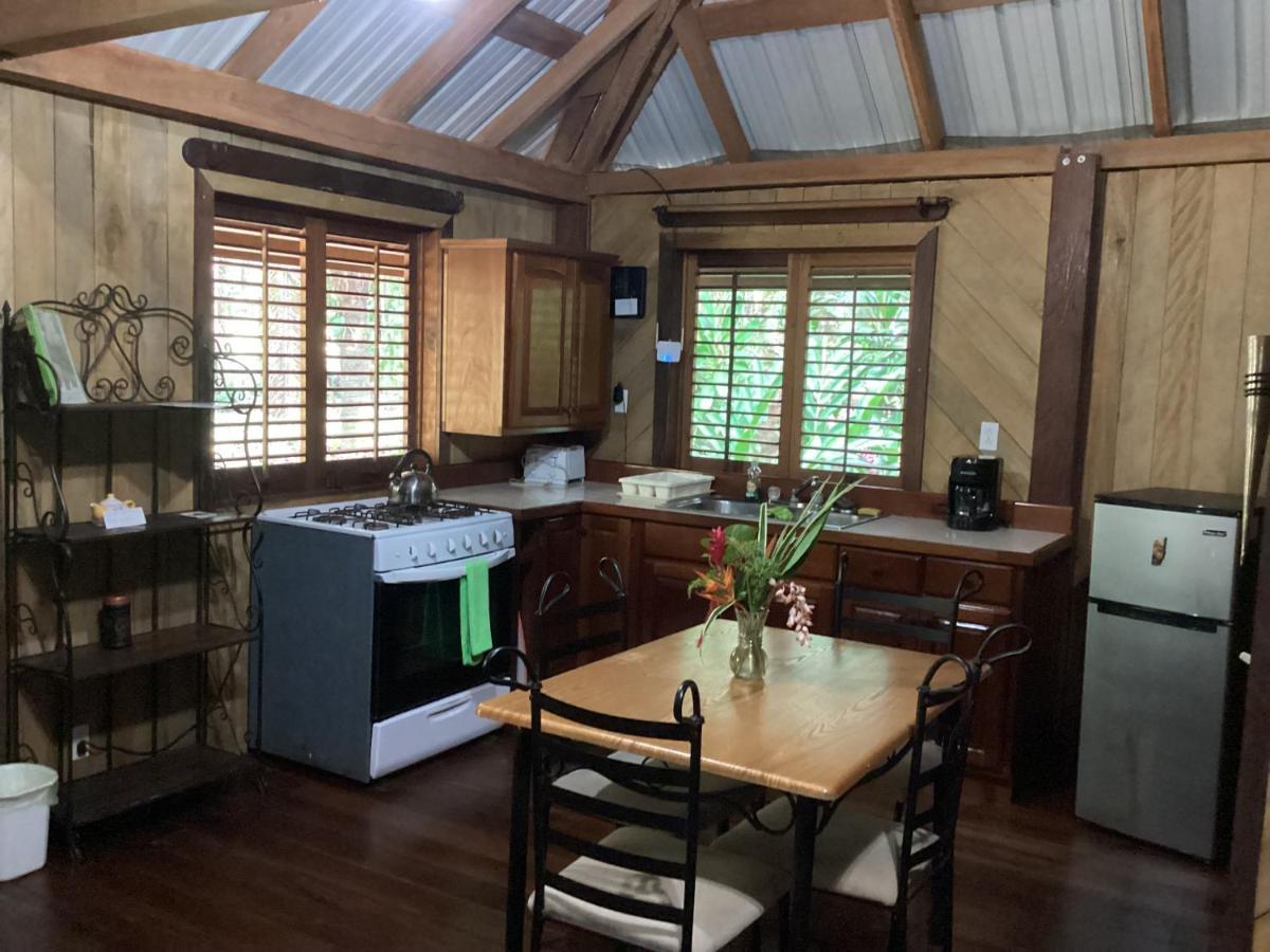 Sun Creek Lodge Пунта Горда Екстериор снимка