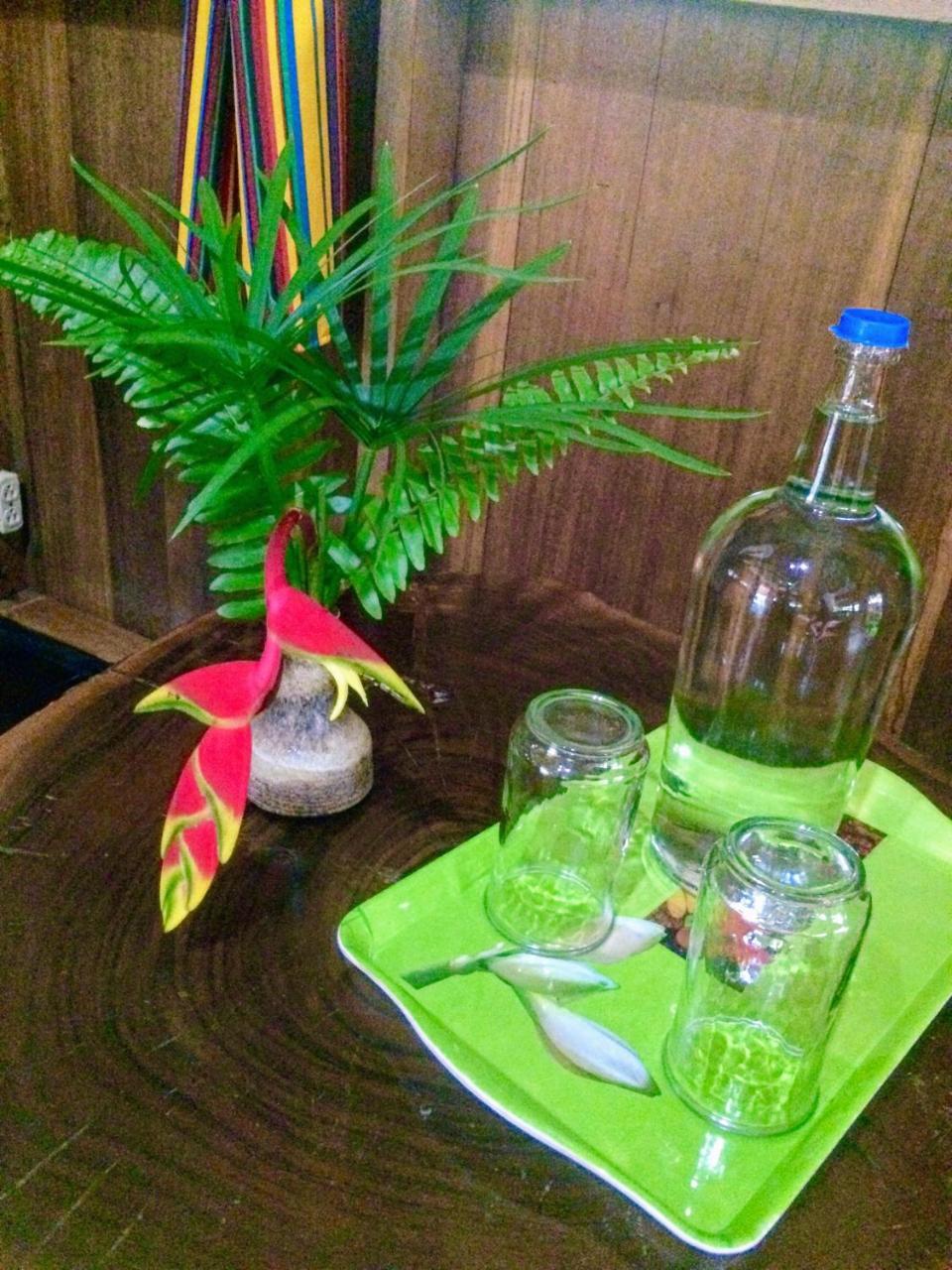 Sun Creek Lodge Пунта Горда Екстериор снимка